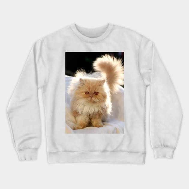 Look me in the eye and tell me it's not serious... Crewneck Sweatshirt by micklyn